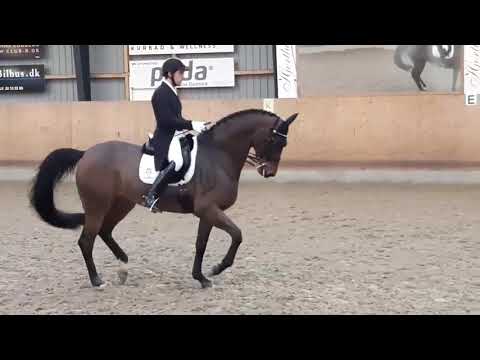 fiontini jurado lopez 20190119horsemail video 1547922902