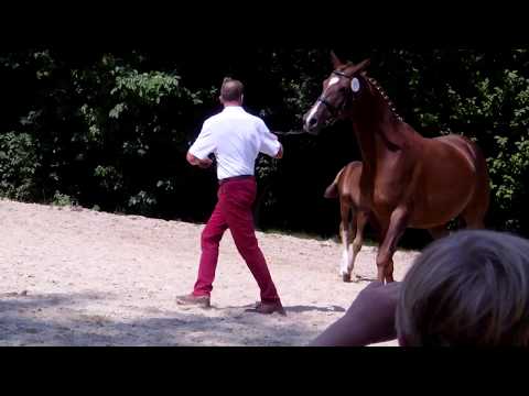 For Romantic von For Dance