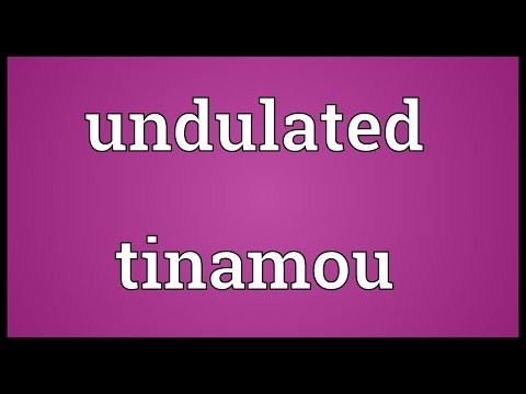 Undulated tinamou Meaning