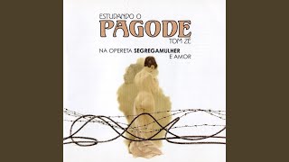 Estúpido Rapaz