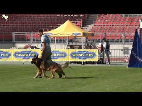 1023 Mio vom Team Hühnegrab - TSB BSZS-2023