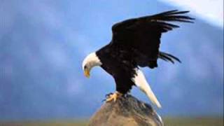 Pur - Adler Sollen Fliegen