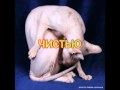 Леди ГаГа на русском 