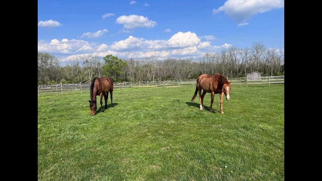 GateJak Fixes Gates on Horse Farms!