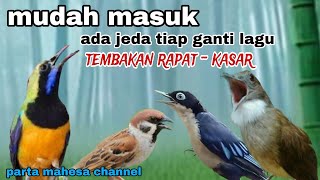 Download lagu Masteran Full Tembakan Cucak cungkok, Geraja, Cucak jenggot, Rambatan doraemon mp3