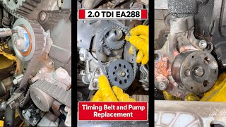 Timing Belt and Pump Replacement on 2.0 TDI EA288 Engine.