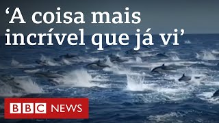 Miniatura do vídeo