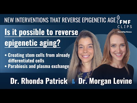 What is aging and why does it matter to scientists? | Dr. Morgan Levine