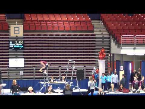 2014 Gymnastics Level 9 Bars State Championship Rebecca Peters