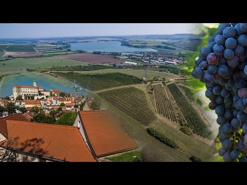 Výlet za vinařem Raušem do Mikulova a prohlídka jeho vinic