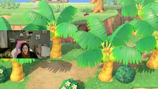 decorating my lovely island |ACNH|