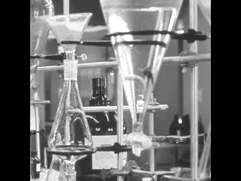 Labor für zukunftsorientierte Finanzpolitik