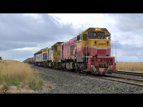 9157 SSR Broad Gauge Grain Train With P17 T363 B80 (5/2/2023) - PoathTV Australian Railways