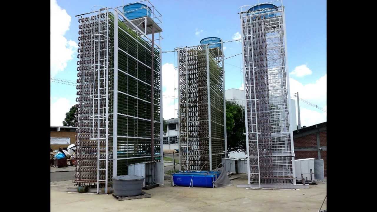 Produção de Biomassa de Microalgas em Fotobiorreatores tubulares compactos (NPDEAS - UFPR - 2013)