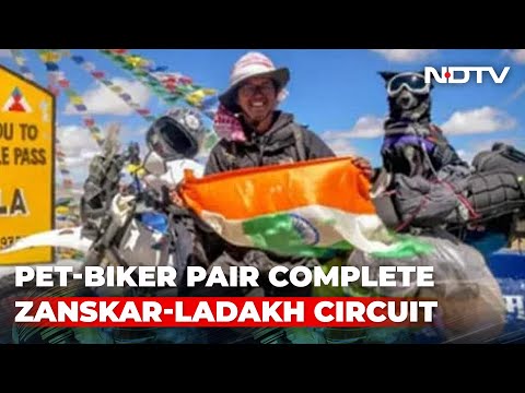 Watch: Man's Trip To Ladakh With His Dog Is Winning Hearts Online | The News