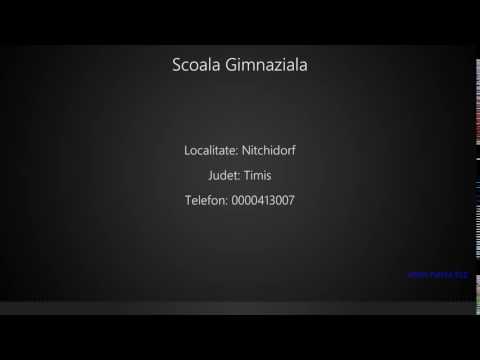 Scoala Gimnaziala Nitchidorf