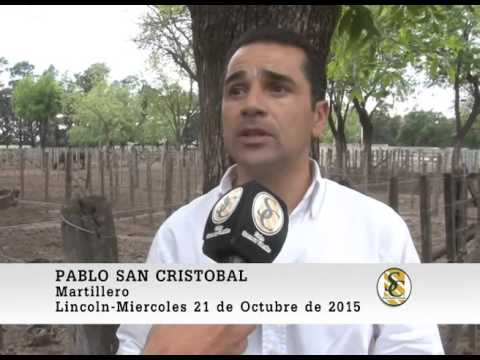 21-10-15 Nota Pablo San Cristobal - Martin G. Lalor S.A. - Lincoln.