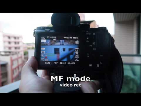 Sony A7rii +Sigma mc-11+ canon 50mm f1.2 L Auto Focus Speed Test in Video Mode