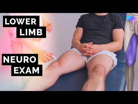 Lower Limb Neurological Examination | OSCE Guide | NEW | UKMLA | CPSA Video