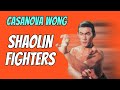 Wu Tang Collection Shaolin Fighters