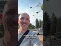 How This Man Befriended Neighborhood Crows - Part 2 🐦✨ #crowfriends #corvids