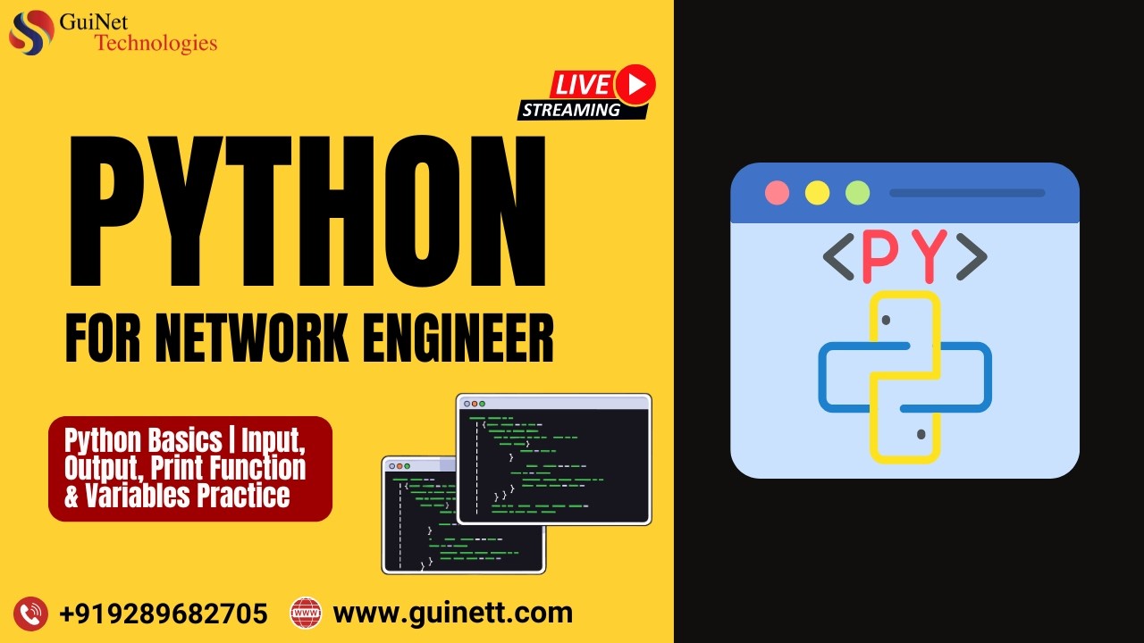 Python Basics | Input, Output, Print Function & Variables Practice