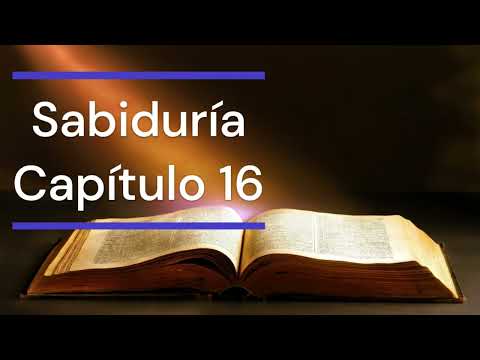 Sabiduría; Capítulo 16 #sabiduria #biblia #claridad #exito #crecimiento