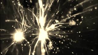 XX674 Genjitsu Blade (Special Edition) by Xscalaba