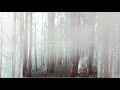 Paint The Sky Red Not All Who Wonder Are Lost FullAlbum 2015