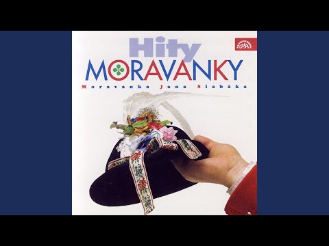 Ten kyjovský hájek