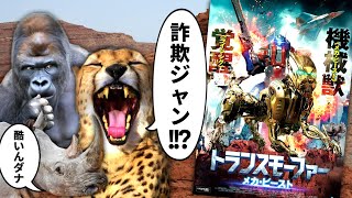 詐欺パッケージでまさかの復活！？トランスフォーマーのパチモン映画『トランスモーファー メカ・ビースト』