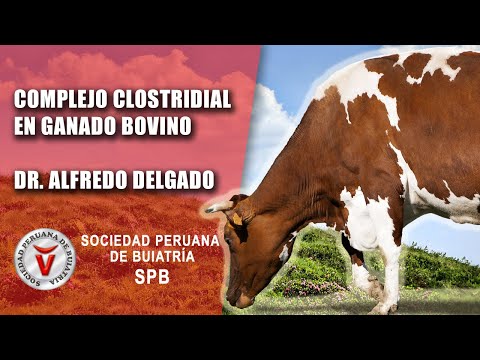 , title : 'Complejo Clostridial en Ganado Bovino'