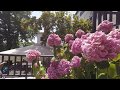 Hotel Eden Pelion Greece 2017