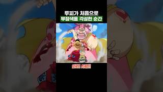 원피스) 루피가 처음으로 무장색을 각성한 순간