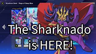Sharks are FREE Now!