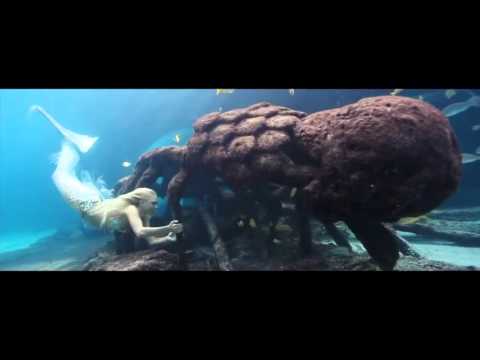 Alex Monaco - Cabrio (Sweet Euphony Remix)