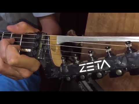 PJ MarX neck Pick up and Zeta Mirror