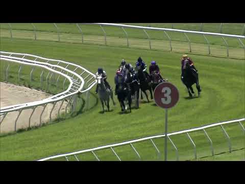 Heat 16   Doomben Jumpouts 0212
