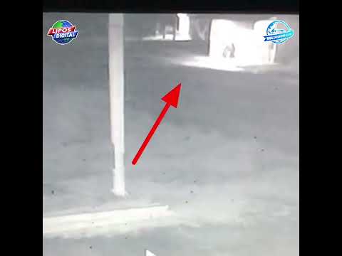 Detik-detik 2 Pria Bakar Rumah Janda Saat Tidur Lelap