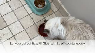 EasyPill Giver Cat, your best friend to administrate pills