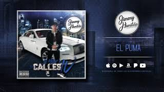 El Puma Lyrics English Translation