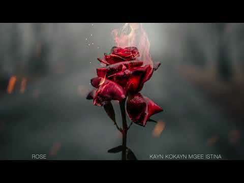 Kayn Kokayn MGee & Istina - Rose