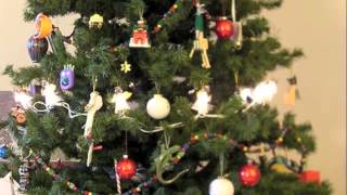 DIV. ARTISTER - KANEFART (Kjølner/Sundal)