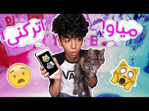 تكلمت مع القطوه بأستخدام مترجم قطط !!! ( شوفوا ايش قالت لي !! ما راح تصدقون !!!)