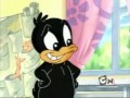 Daffy learns a new word (NOT FOR CHILDREN ...