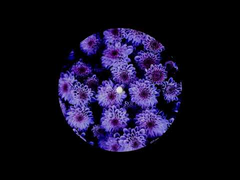 10. MDKrom Podcast Series - Vlad Ioachimescu