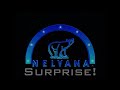 Intro Remakes 15 Nelvana Surprise 2004 2