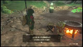The Legend of Zelda: Tears of the Kingdom 【today's stroll】day１③：ゼルダの伝説　ティアーズオブザキングダム【今日の散歩】１日目③