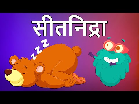 हाइबरनेशन | सीतनिद्रा | Hibernation In Hindi | Dr.Binocs Show | Educational Videos |Binocs Ki Duniya