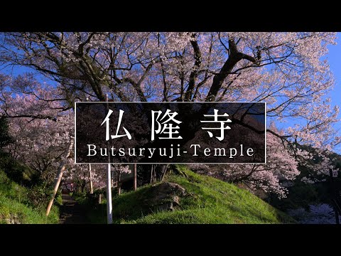 1,400年以上前の寺院が発見:研究者らは「稀で注目に値する証拠」を発見